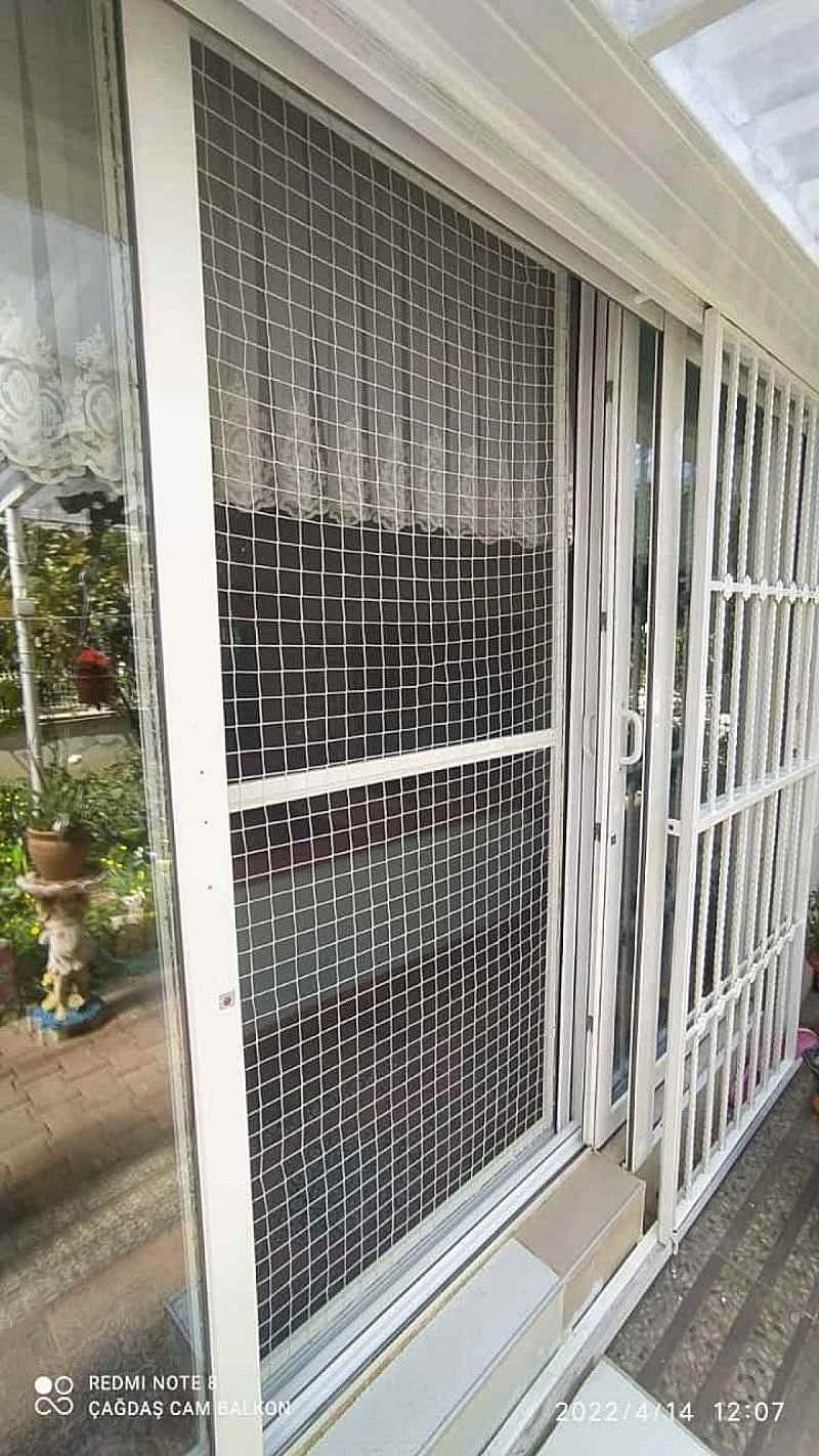 Antalya Kedi Sinekliği